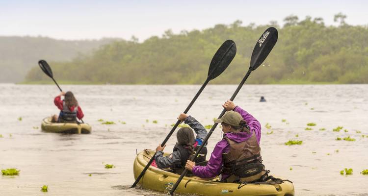 Trois kayakistes pagaient à travers une rivière brumeuse sous une pluie légère, entourés de collines vertes.