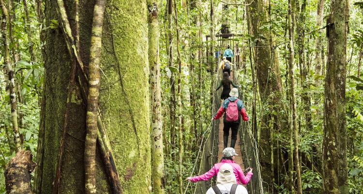 Des aventuriers traversent un pont suspendu étroit en hauteur dans la canopée luxuriante de la forêt tropicale.