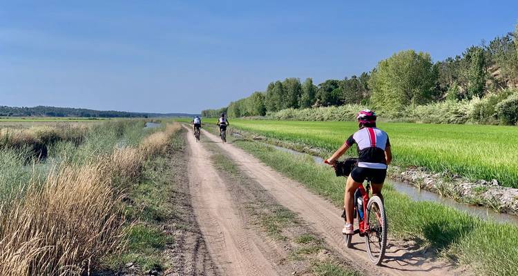 Gruppe von Radfahrern folgt einem unbefestigten Feldweg durch üppig grüne Felder und Bewässerungskanäle.