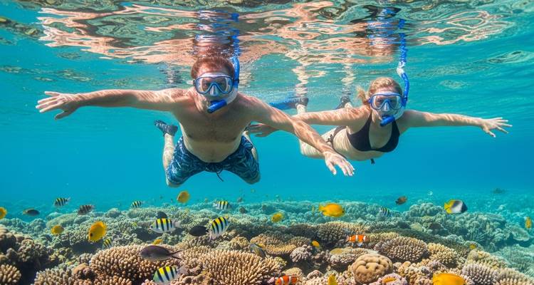 Homme et femme faisant de la plongée avec tuba au-dessus d'un récif de corail vibrant grouillant de poissons tropicaux colorés dans une eau claire.
