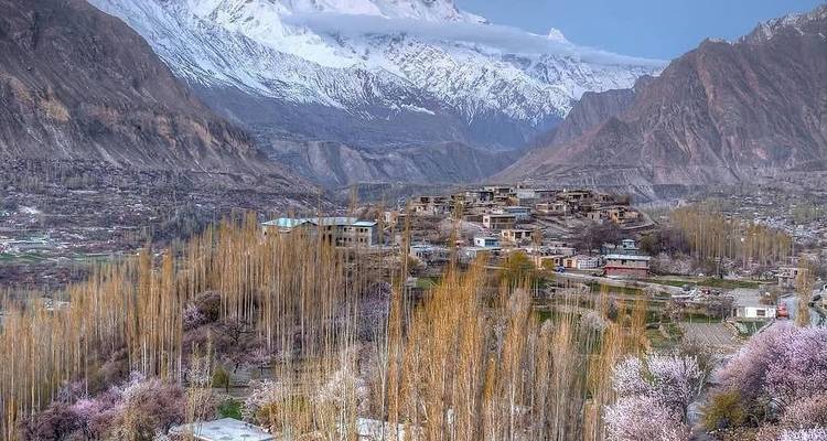 Un pueblo del valle con altos álamos se encuentra bajo imponentes montañas cubiertas de nieve al amanecer.
