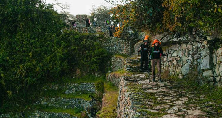Des randonneurs portant des chapeaux orange marchent le long d'un étroit sentier de pierre inca bordé de murs moussus.