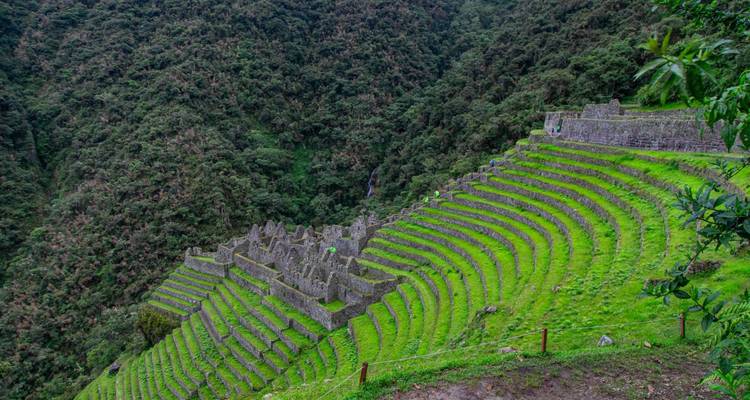 D'amples terrasses agricoles verdoyantes descendent une pente forestière abrupte aux ruines de Winay Wayna.