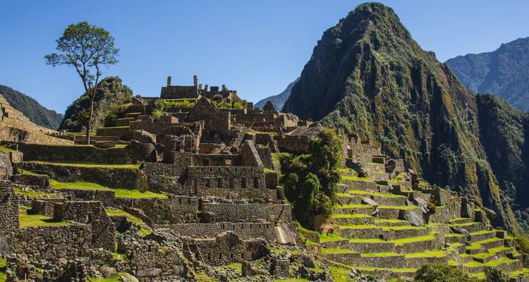 Les structures de pierre emblématiques et les terrasses du Machu Picchu s'élèvent sous un pic montagneux vert spectaculaire.