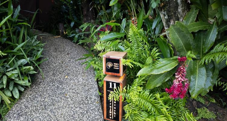 Bladrijke grindpad door tropische tuin met genummerde houten wegwijzers die naar tenten leiden.