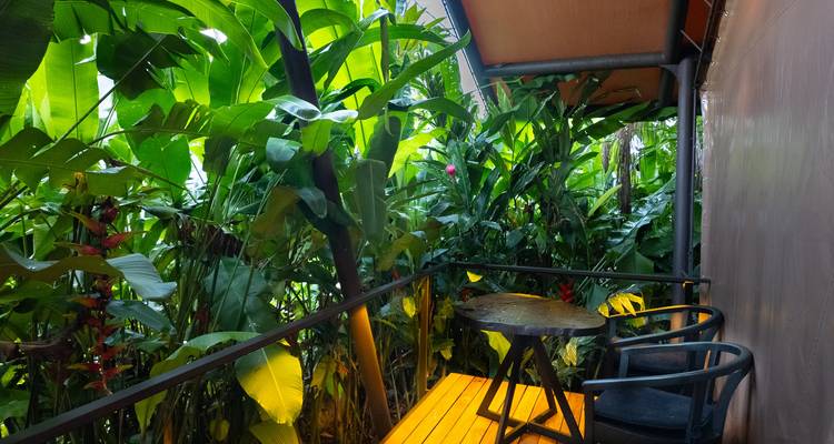 Klein balkon met tafel en twee stoelen omringd door weelderig groen jungle gebladerte.