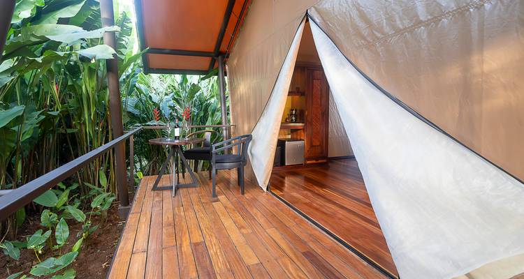Houten terras van een canvas tent met open flap die het gezellige interieur onthult, gelegen tussen tropische planten.