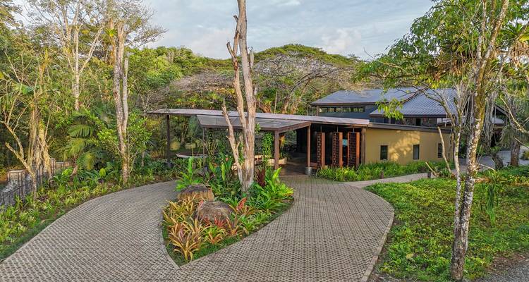 Een weelderige jungle lodge ingang met een gebogen geplaveide oprijlaan die leidt naar een modern bungalow-achtig gebouw omringd door tropische vegetatie.