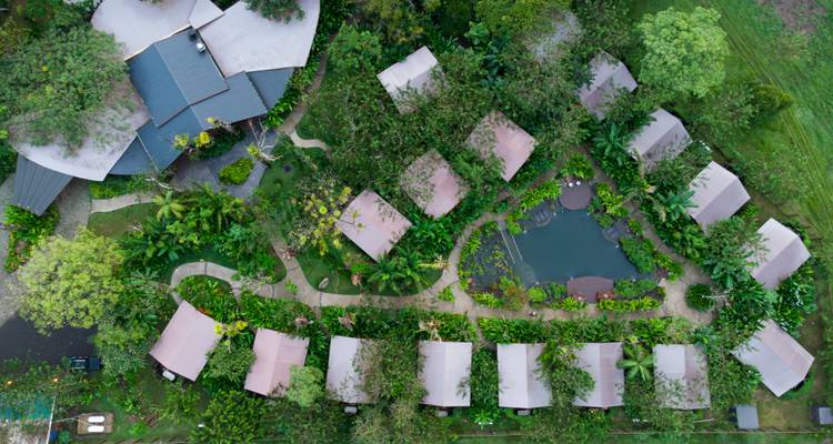 Luchtfoto van een jungle resort met rijen cabinedaken, kronkelende paden, en een centrale vijver te midden van dichte groene begroeiing.