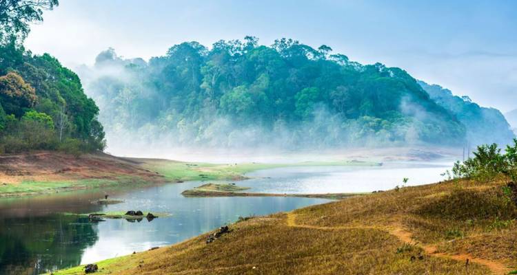 Serene lake bordered by forested hills with layers of morning mist drifting across the water and shoreline.