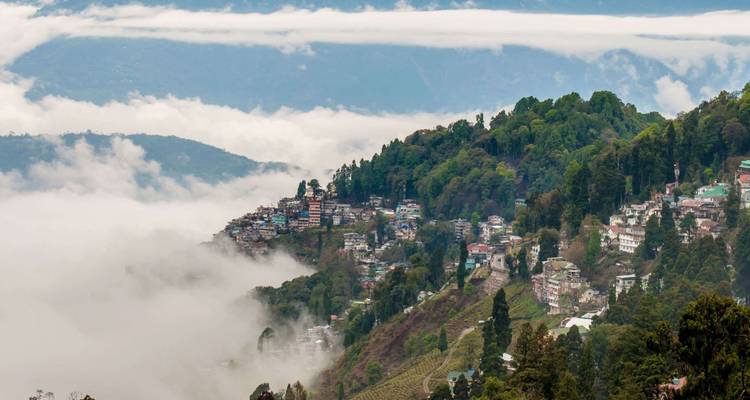 Neblige Hügellandsiedlung mit dichtem grünen Wald und Wolken, die durch das Tal ziehen.