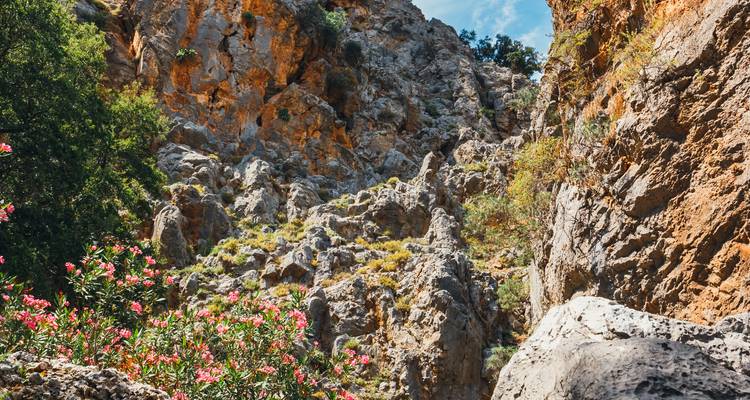 Steile felsige Schlucht mit zerklüfteten orangefarbenen Klippen und blühenden Sträuchern unter blauem Himmel.