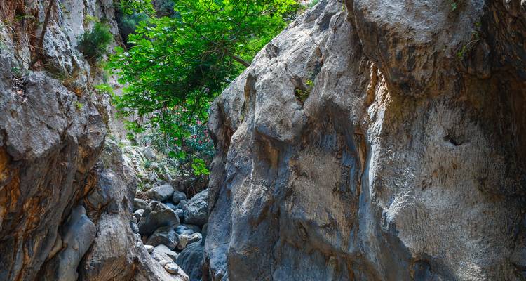 Schmale Felsenschlucht mit schattigen Felsbrocken und Grün, das an den Klippenwänden haftet.