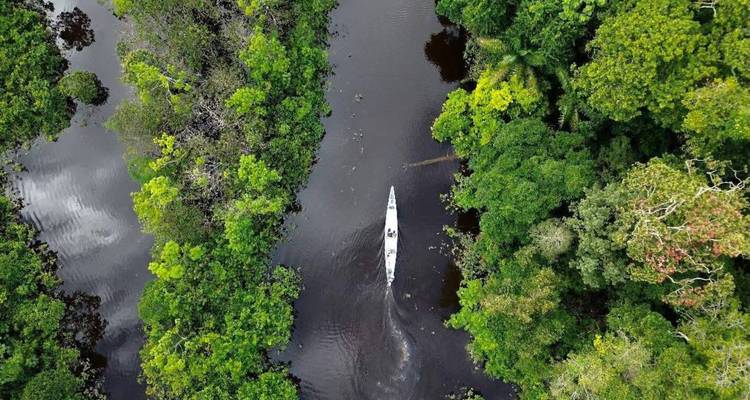 Vue aérienne d'un étroit canoé serpentant à travers les canaux de rivière sombres de la jungle, bordés par une canopée d'un vert éclatant.