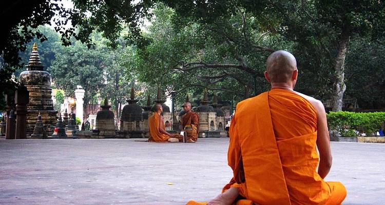 Monks in orange robes meditating beneath large shady trees at a temple courtyard.