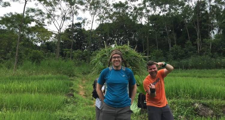Wanderer lachen in üppigen Reisterrassen und tragen frisch geschnittenes Gras im ländlichen Vietnam.
