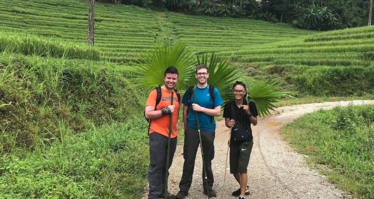 Drei Wanderer posieren mit Palmwedel-'Schirmen' neben terrassierten Reisfeldern.