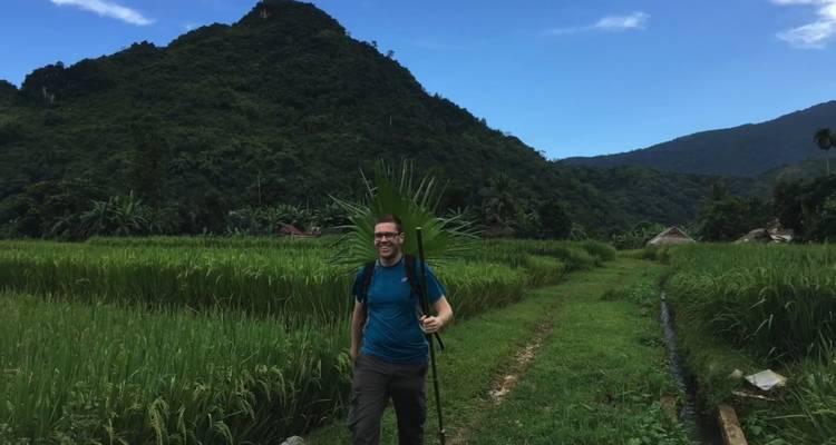 Einzelner Wanderer mit improvisiertem Gehstock aus Palmblättern inmitten leuchtend grüner Reisfelder.