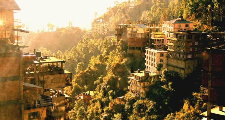 Heuvelflank nederzetting van Shimla gloeiend in warme avondzon met dichte bos achtergrond.