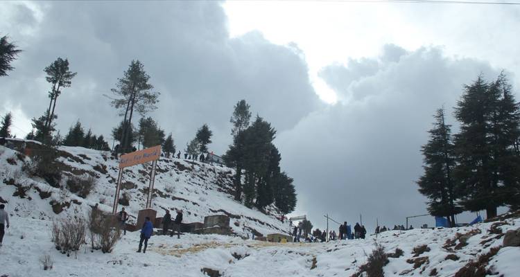 Menigte die geniet van sneeuwactiviteiten op een helling bij Kufri te midden van hoge pijnbomen en dramatische wolken.