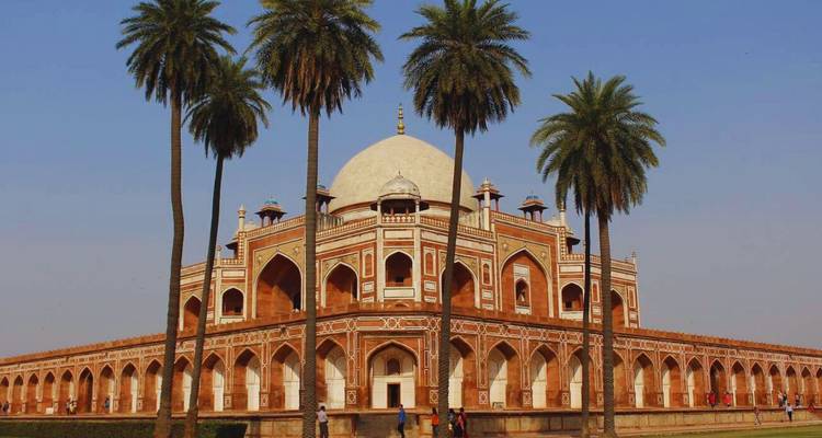 Humayun's Tombe omlijst door hoge palmbomen tegen een heldere blauwe Delhi-lucht.