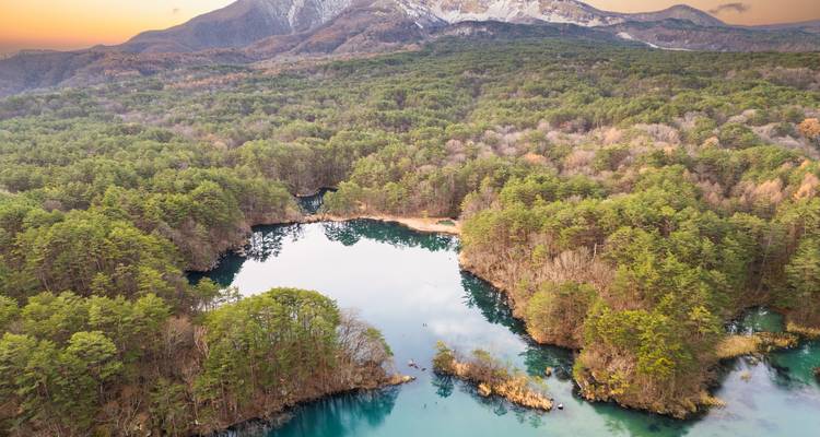 Vue aérienne d'étangs colorés entourés d'une forêt dense d'automne au coucher du soleil