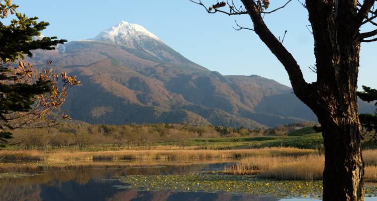 Montagne enneigée s'élevant majestueusement au-dessus d'un lac de marécage tranquille encadré par des arbres d'automne.