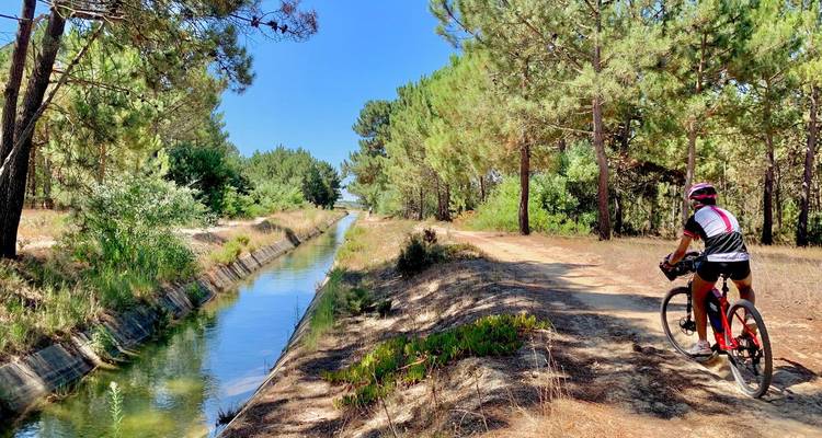 Mountainbiker fährt entlang eines von Kiefern gesäumten Feldwegs neben einem Bewässerungskanal.