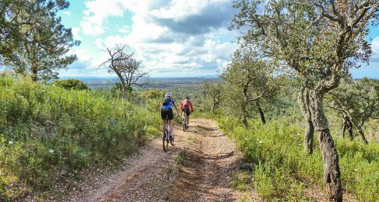 Kleine Gruppe von Radfahrern, die einen blumengesäumten Schotterweg durch Waldland hinauffahren.