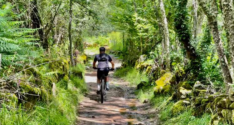 Mountainbiker fährt auf einem schattigen Waldweg, der von moosigen Steinmauern und üppigem Grün gesäumt ist