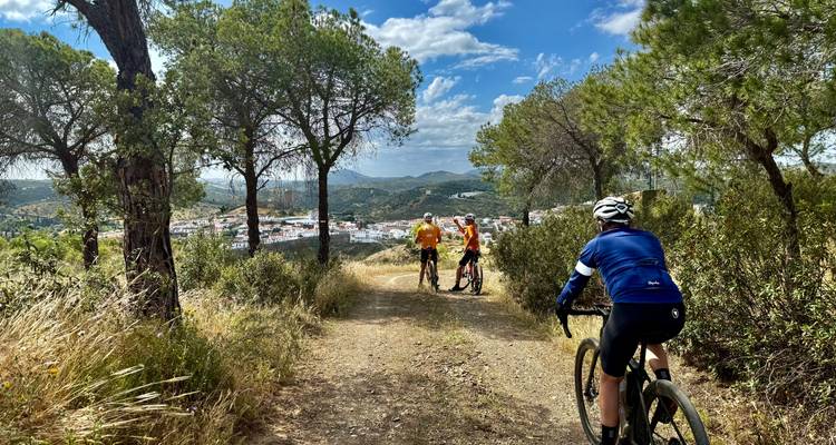 Radfahrer fahren auf einem Feldweg zwischen Kiefern mit Blick auf eine weiß getünchte Stadt im Tal