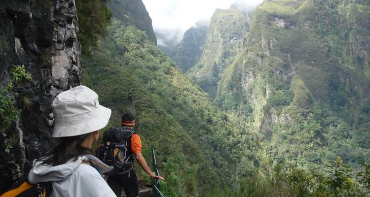 Wanderer durchqueren einen schmalen Levada-Pfad entlang einer üppigen vertikalen Schlucht, die in Nebel gehüllt ist