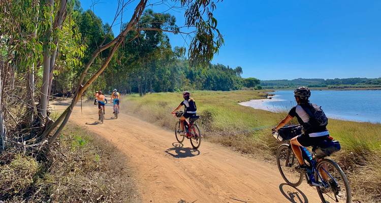 Gruppe von Mountainbikern auf einem staubigen Pfad neben einem Flusssumpf unter blauem Himmel