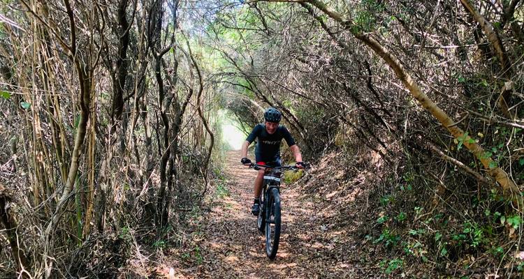 Radfahrer fährt durch einen natürlichen Tunnel aus verflochtenen Ästen auf einem belaubten Weg