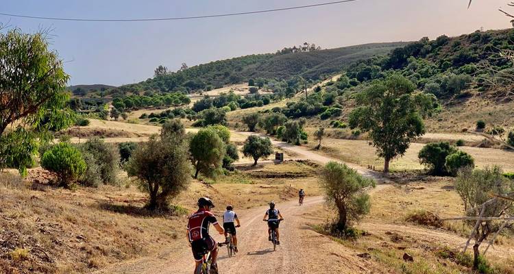 Radfahrer fahren durch hügelige trockene Landschaft mit Olivenbäumen unter warmem Licht