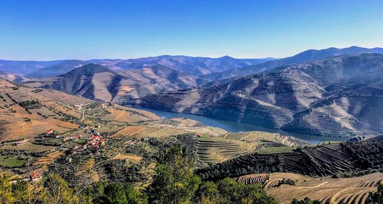 Weite Aussicht über die terrassierten Berge des Douro-Tals mit dem glitzernden Fluss darunter