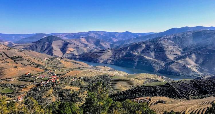 Weites Panorama von terrassierten Weinbergen und einem gewundenen Fluss inmitten sanfter Berge bei klarem Wetter