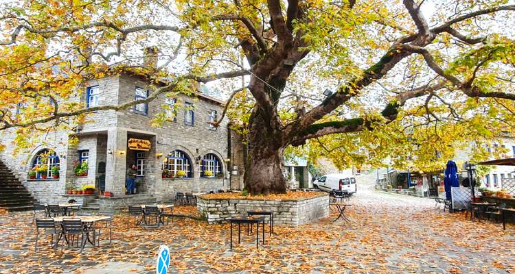 Plaza de pueblo de piedra cubierta de hojas otoñales con un enorme plátano y encantadoras mesas de café.