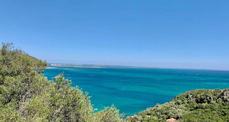 Weite Aussicht auf eine türkisfarbene Meeresbucht, gesehen von einer bewachsenen Klippe unter einem klaren blauen Himmel.