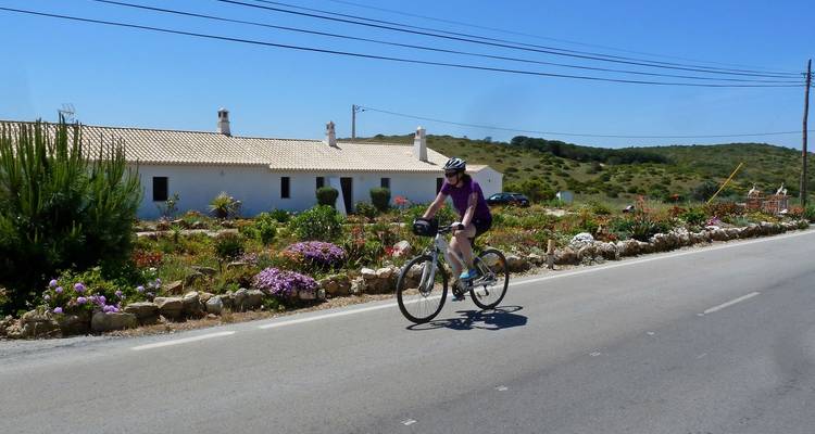 Radfahrer im lila Trikot fährt entlang einer Straßenseite, die von Blumen und einem weißen ländlichen Häuschen gesäumt ist.