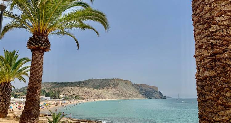 Palmengesäumte Strandszene mit Sonnenbadenden auf goldenem Sand und türkisfarbenem Wasser vor felsigen Klippen.