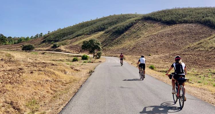 Radfahrer erklimmen einen sonnenverbrannten ländlichen Hügel auf einer frisch asphaltierten Straße, die von trockenen Grashängen gesäumt wird.