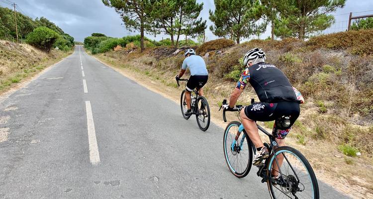 Zwei Straßenradfahrer fahren durch eine von Kiefern gesäumte Landschaft unter gemischten Wolken und blauem Himmel.