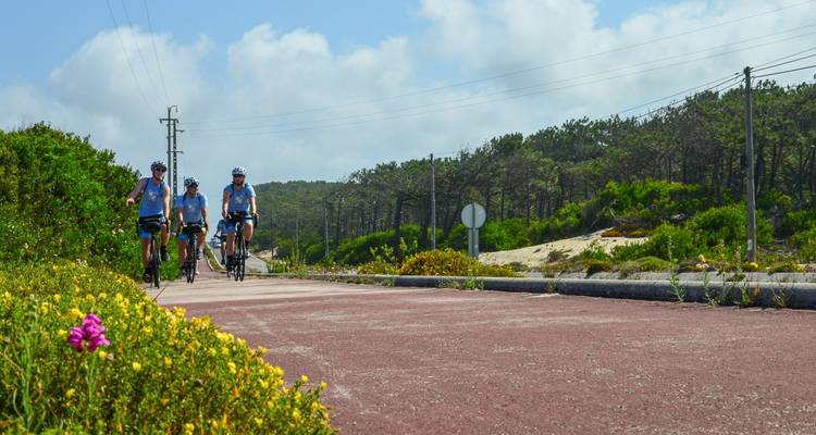 Drei Radfahrer fahren zusammen auf einem asphaltierten Waldweg entlang, der von Wildblumen und Kiefern gesäumt ist.