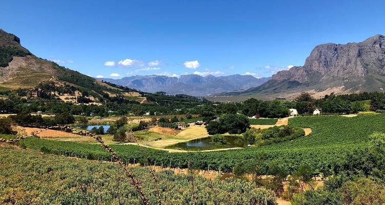 Zonnige wijngaardvallei omringd door ruige bergen en blauwe lucht.