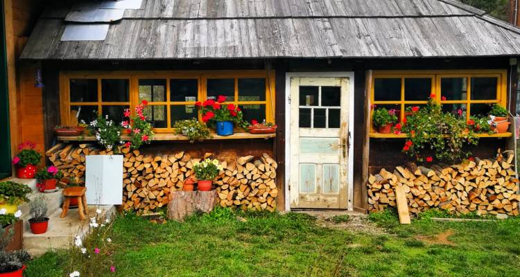 Maison en bois chaleureuse avec du bois de chauffage empilé et des jardinières sous des fenêtres jaune vif dans une cour herbeuse.
