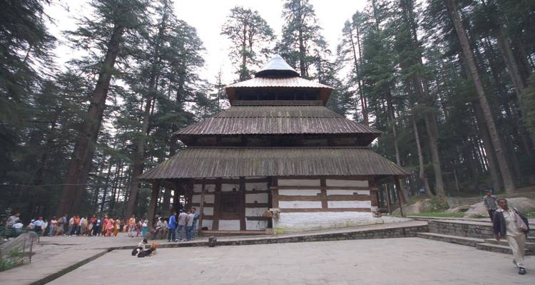De oude houten Hadimba Devi Tempel staat tussen hoge deodar bomen terwijl bezoekers buiten in de rij staan.