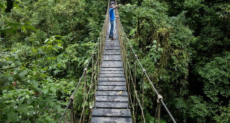 Randonneur debout sur un pont suspendu étroit au cœur d'une forêt nuageuse luxuriante, pointant vers le lointain.