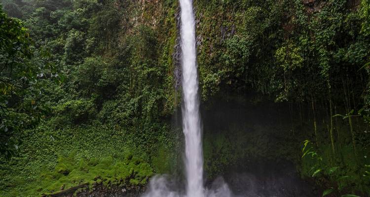 Grande cascade de jungle s'écrasant dans un bassin brumeux entouré de mousse verte éclatante et de feuillage.