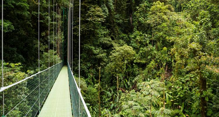 Long pont suspendu métallique vert s'étendant au-dessus de la canopée dense de la forêt tropicale.